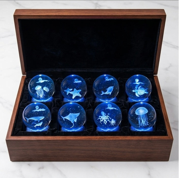 Ocean Nebula Collection