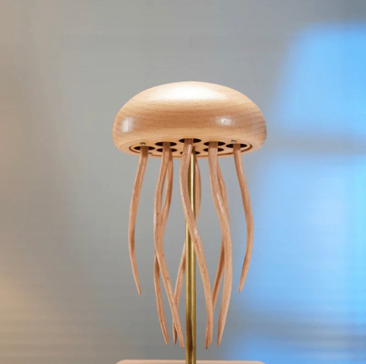 Medusa Danzante – Flusso Fluido